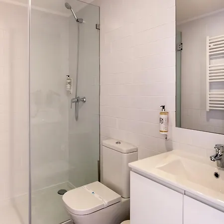 Pet-friendly In Apartment Porto